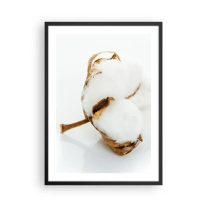 Póster en marco negro - Un primer plano de una rama de algodón con delicadas fibras blancas. - 50x70cm - Suave por naturaleza - Decoración de pared moderna para salón y dormitorio ARTTOR