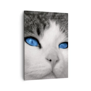 Cuadro sobre lienzo - Impresión de Imagen - Retrato de un gato con ojos azules en estilo blanco y negro. - 50x70cm - Inusual de ojos azules - Decoración de pared moderna para salón y dormitorio ARTTOR