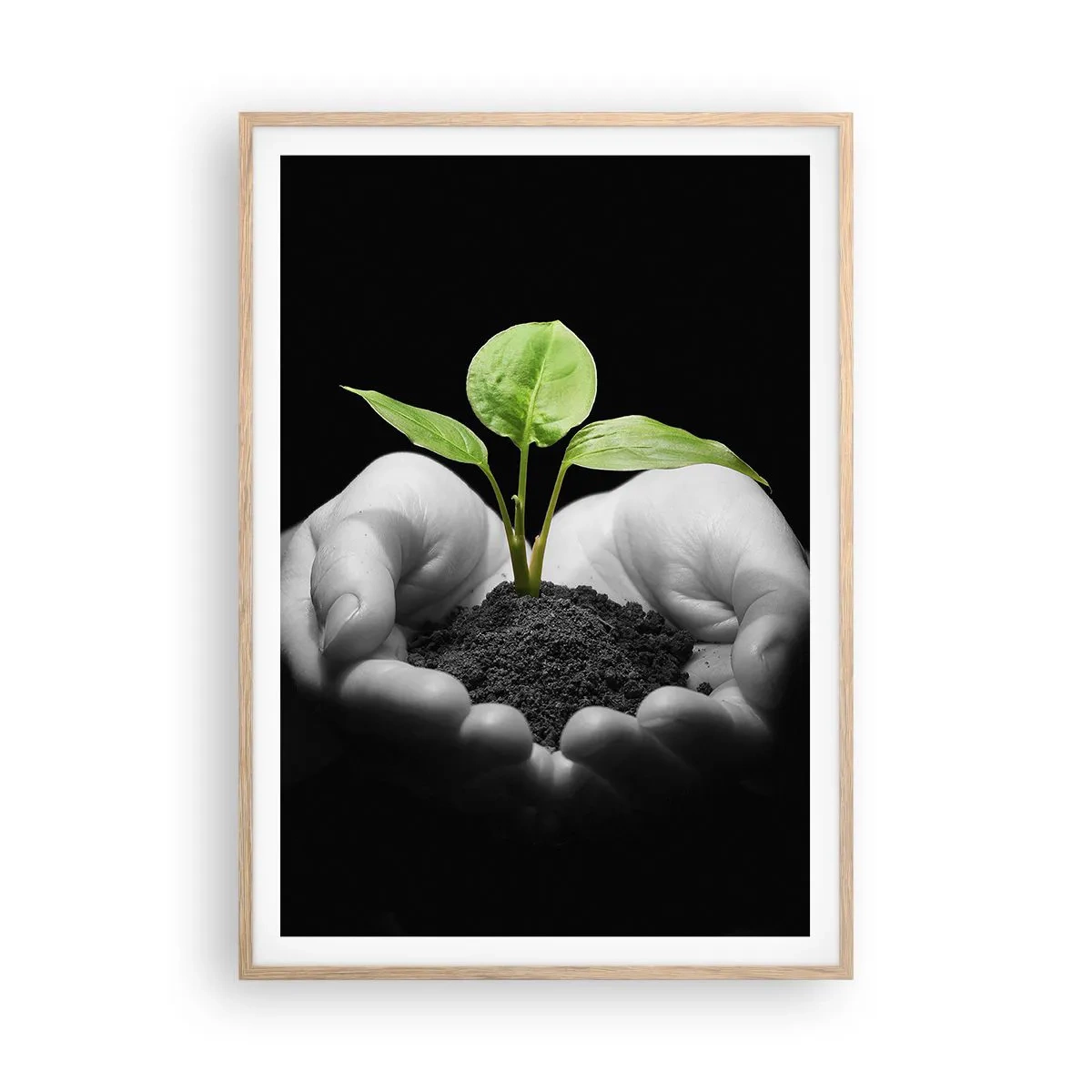 Póster en marco roble claro - Amo la naturaleza, la protejo - 70x100 cm