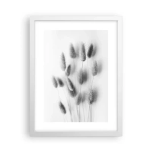 Póster en marco blanco - Esponjas naturales - 30x40 cm