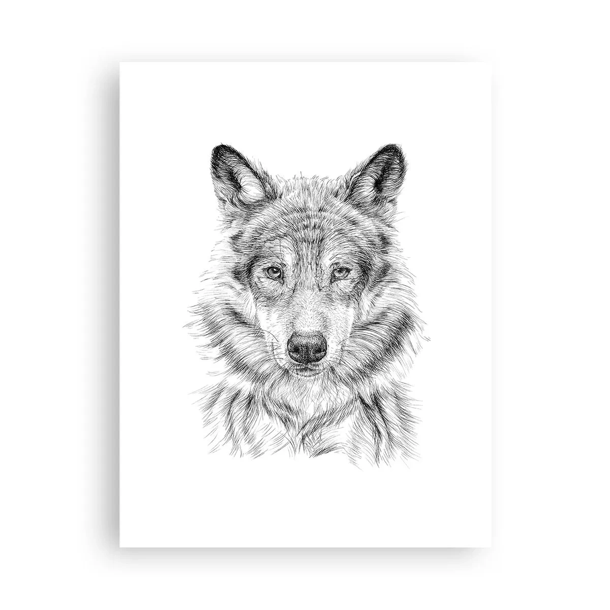 Póster - Un líder nato - 30x40 cm