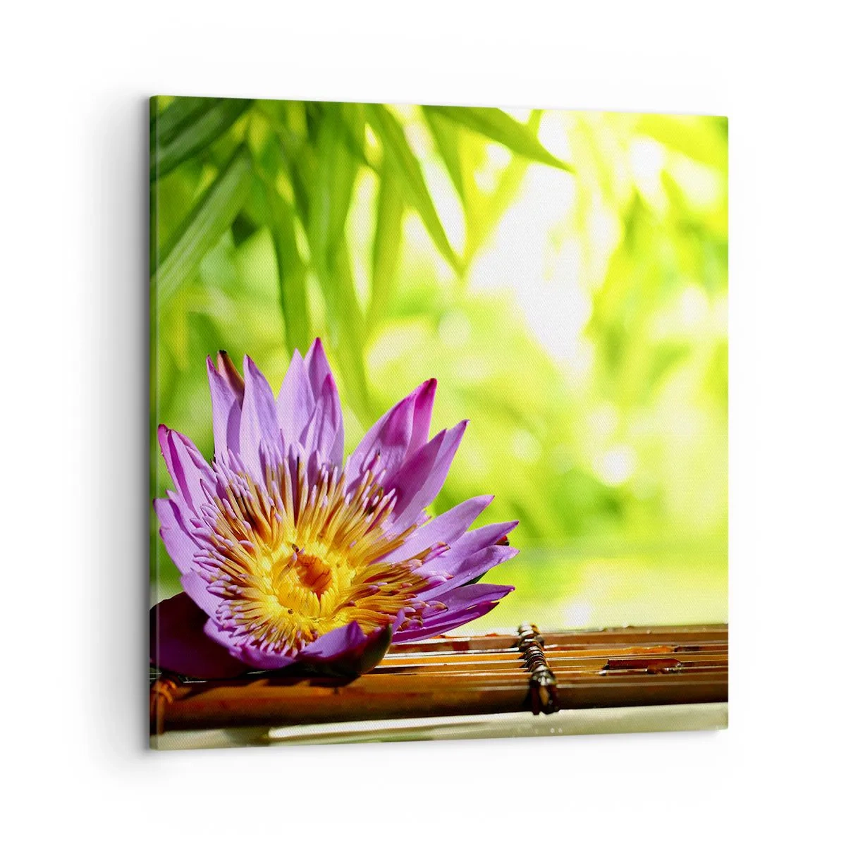 Cuadro sobre lienzo - Impresión de Imagen - Bajo el sol de Asia - 50x50 cm