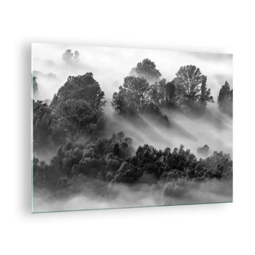 Cuadro sobre vidrio - Impresiones sobre Vidrio - Bosque brumoso a la luz del sol en blanco y negro - 70x50cm - Levantarse del sueño - Decoración de pared moderna para salón y dormitorio ARTTOR