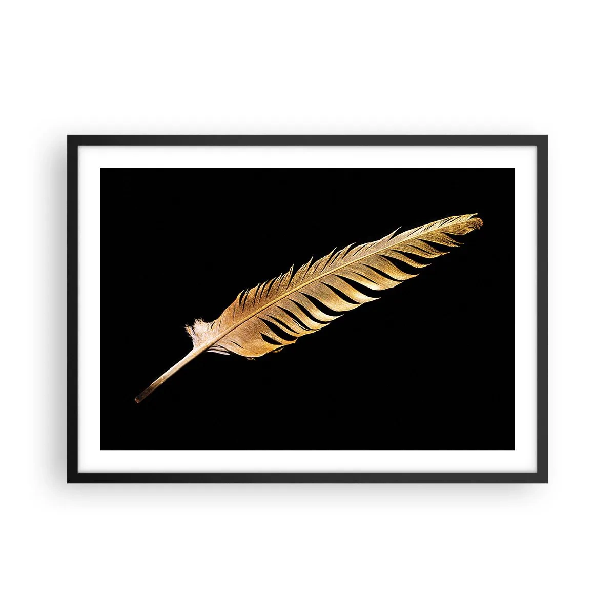 Póster en marco negro - Pluma dorada sobre fondo negro - 70x50cm - Pluma de alta calidad - Decoración de pared moderna para salón y dormitorio ARTTOR