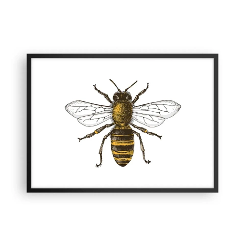 Póster en marco negro - Ilustración detallada de una abeja sobre un fondo blanco. - 70x50cm - Bondad natural - Decoración de pared moderna para salón y dormitorio ARTTOR