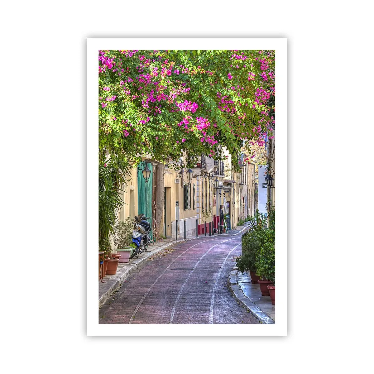Póster - Un callejón floreciente - 61x91 cm