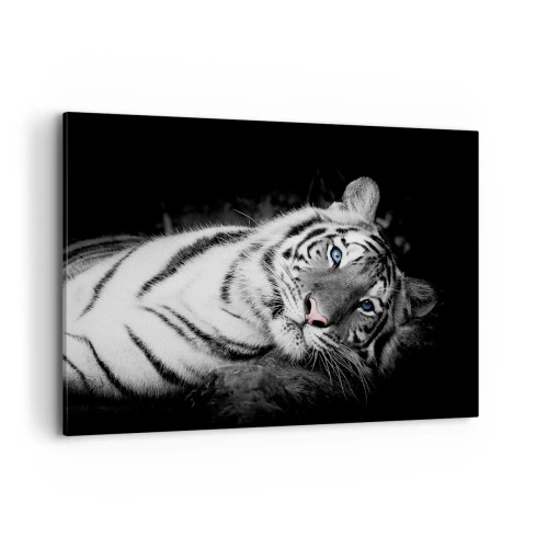 Cuadro sobre lienzo - Impresión de Imagen - Un tigre blanco representado artísticamente sobre un fondo negro. - 120x80cm - Salvaje y tranquilo - Decoración de pared moderna para salón y dormitorio ARTTOR