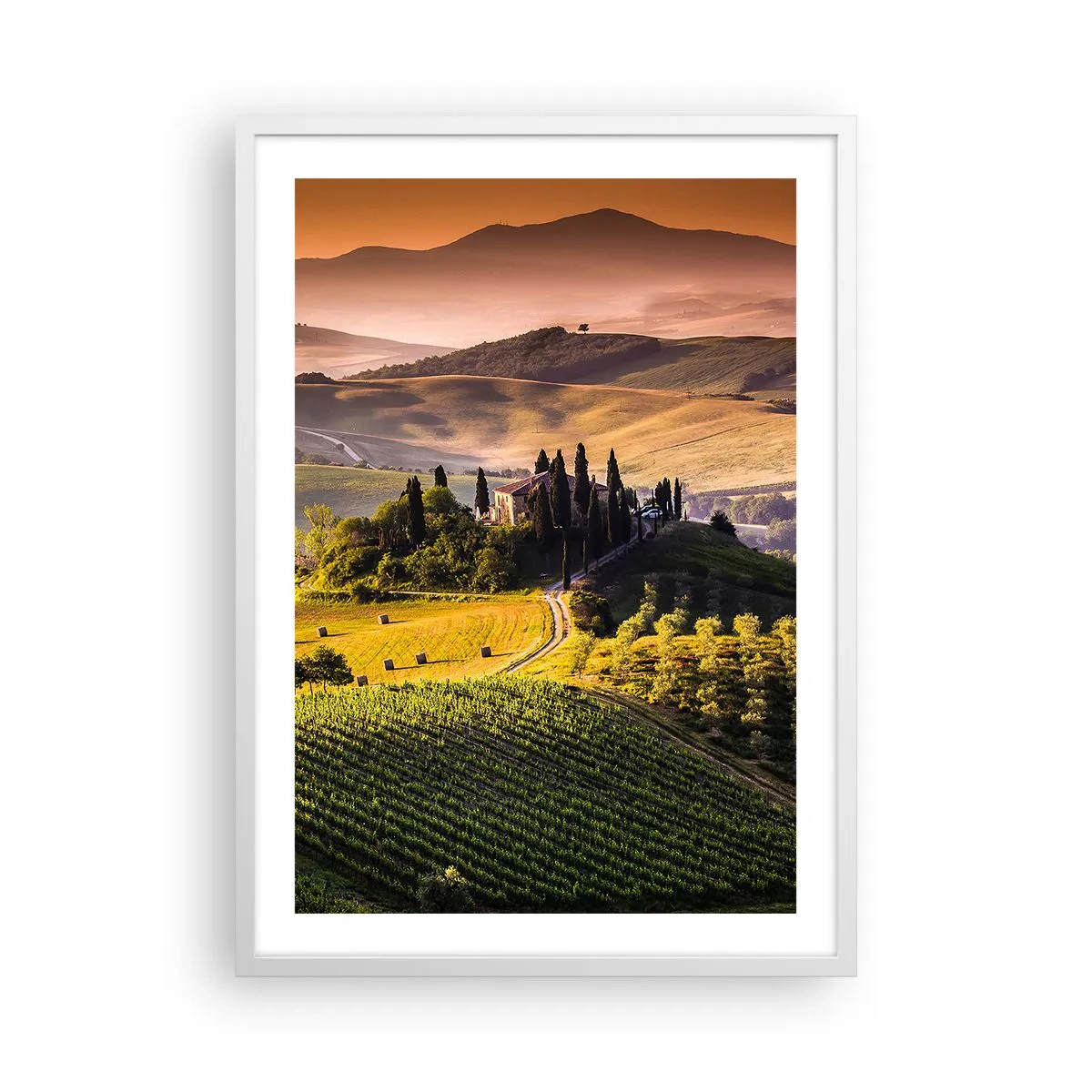 Póster en marco blanco - Paisaje toscano - 50x70 cm