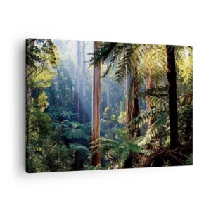 Cuadro sobre lienzo - Impresión de Imagen - Bosque tropical iluminado por los rayos del sol - 70x50cm - Un cuento de hadas del bosque - Decoración de pared moderna para salón y dormitorio ARTTOR