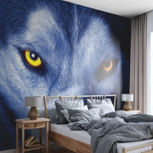Fotomural Standard Eco - La mirada fascinante de un lobo sobre un fondo oscuro. - 100x70cm - La mirada hipnótica - Decoración de pared moderna para salón y dormitorio ARTTOR