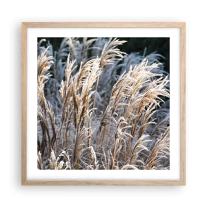 Póster en marco roble claro - Campos y campos - 50x50 cm