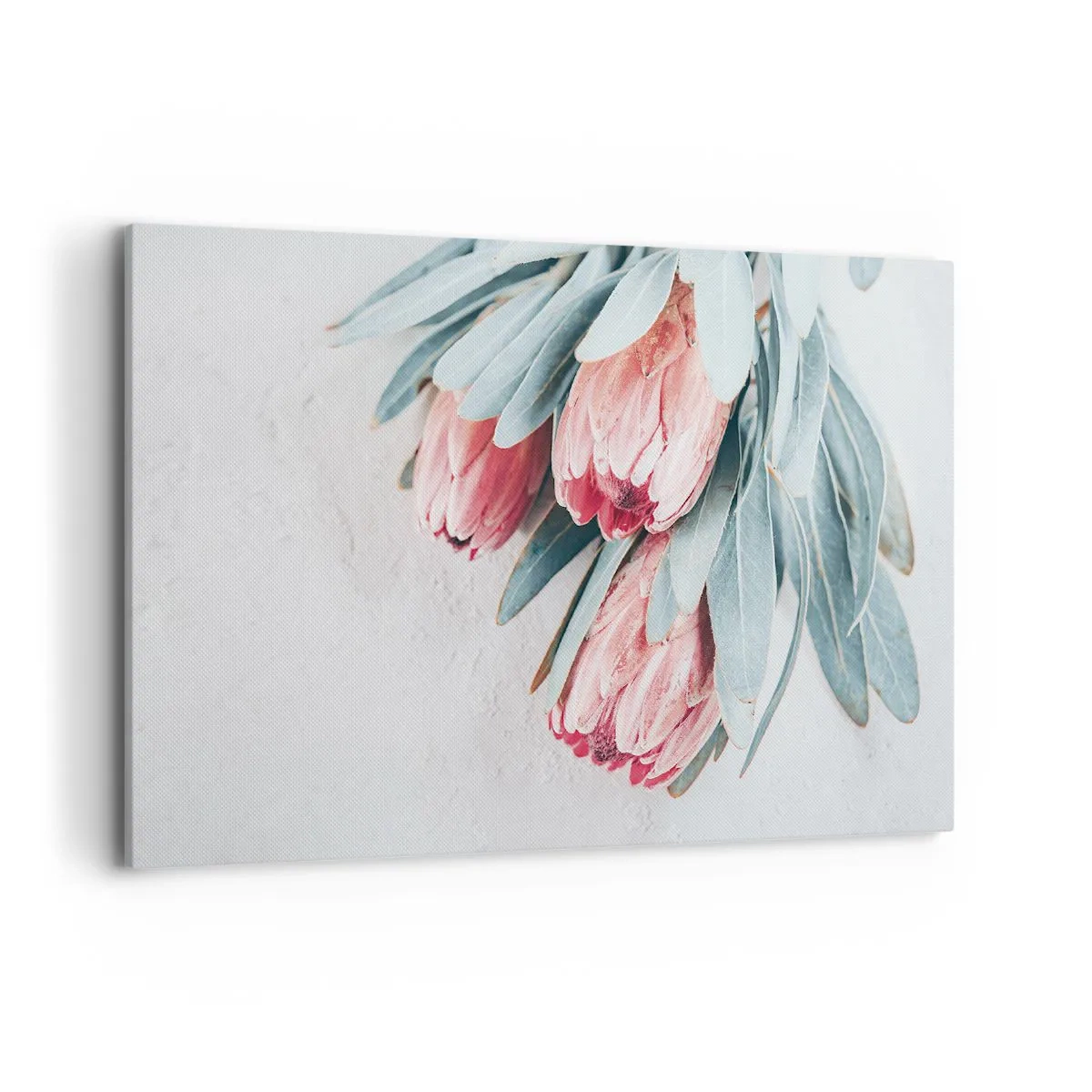 Cuadro sobre lienzo - Impresión de Imagen - Sutiles flores de protea rosa sobre un fondo claro. - 100x70cm - Avergonzada de su propia belleza - Decoración de pared moderna para salón y dormitorio ARTTOR