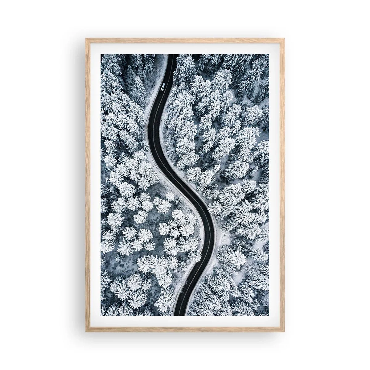 Póster en marco roble claro - A través de un bosque invernal - 61x91 cm