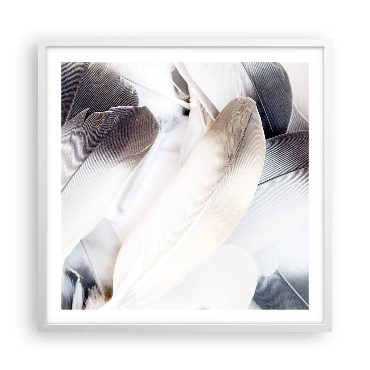 Póster en marco blanco - Casi angelical - 60x60 cm