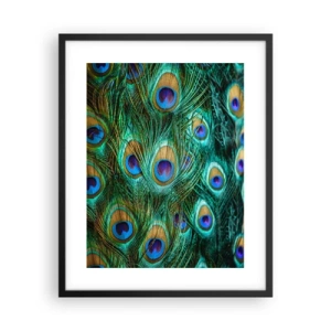 Póster en marco negro - Mirada de pavo real - 40x50 cm