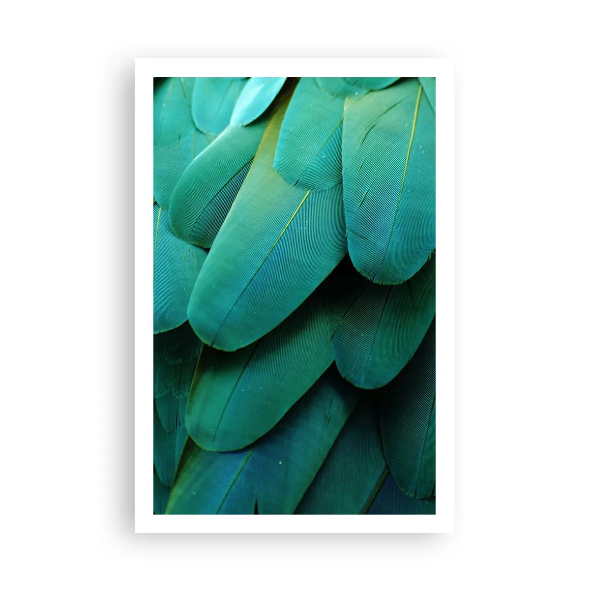 Póster - La precisión de la naturaleza - 61x91 cm