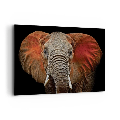 Cuadro sobre lienzo - Impresión de Imagen - Retrato de un elefante sobre fondo negro - 100x70cm - Soy salvaje, ¿y tú? - Decoración de pared moderna para salón y dormitorio ARTTOR