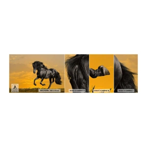 Muestra de fotomural autoadhesivo Deluxe Sticker - Hermoso, libre y salvaje - animales, Caballo, Paisaje - 100x30 cm