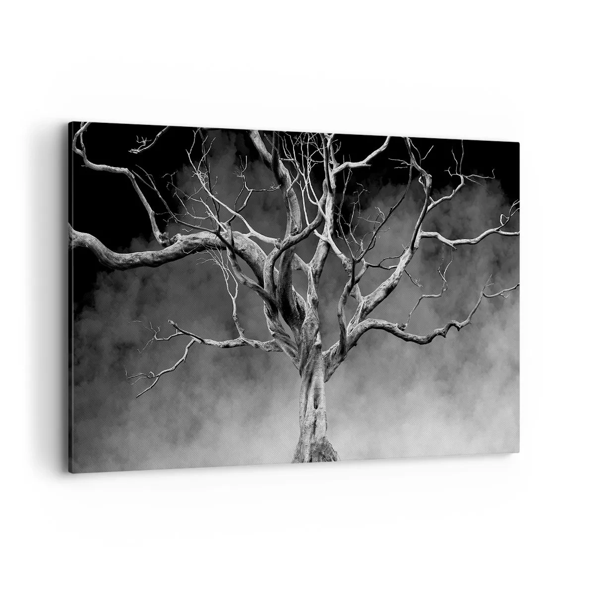 Cuadro sobre lienzo - Impresión de Imagen - Un árbol seco en blanco y negro contra la niebla. - 120x80cm - Primordial y sagrado - Decoración de pared moderna para salón y dormitorio ARTTOR