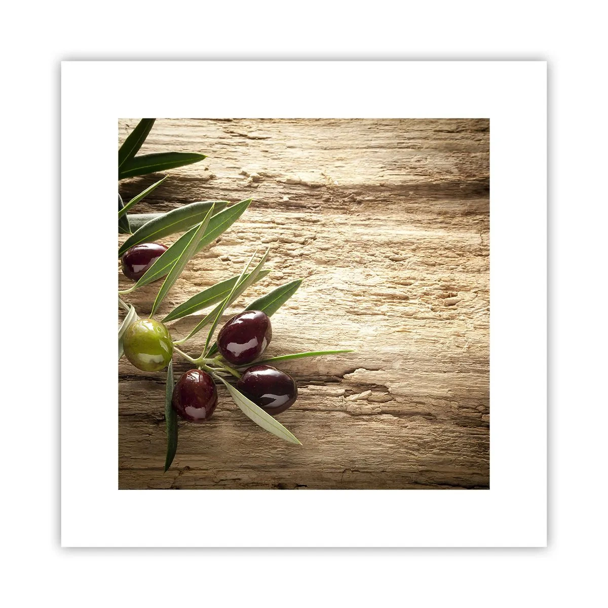 Póster - Directamente de la naturaleza - 30x30 cm