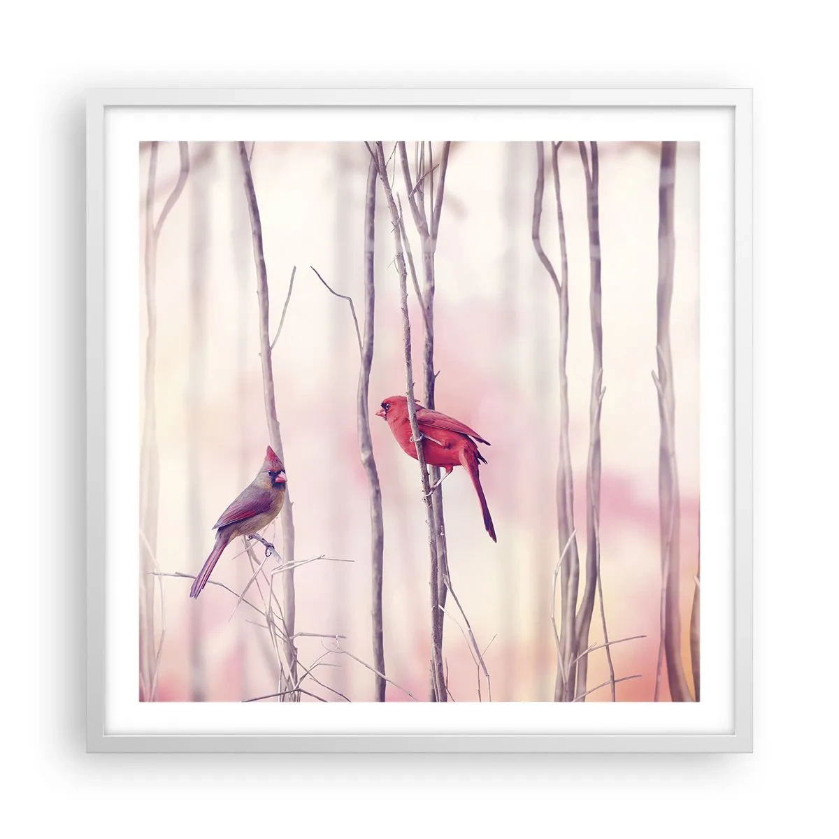 Póster en marco blanco - Historia de un bosque rosa - 60x60 cm