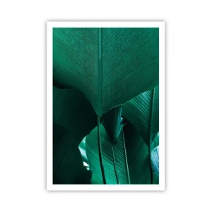 Póster - De cara a la luz - 70x100 cm