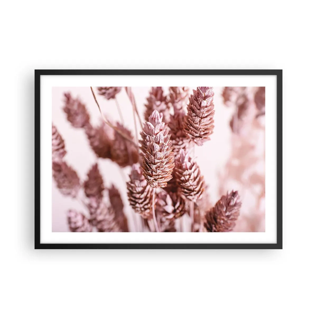 Póster en marco negro - Un primer plano de las delicadas espigas rosadas de las hierbas ornamentales. - 70x50cm - Aparentemente discreto - Decoración de pared moderna para salón y dormitorio ARTTOR