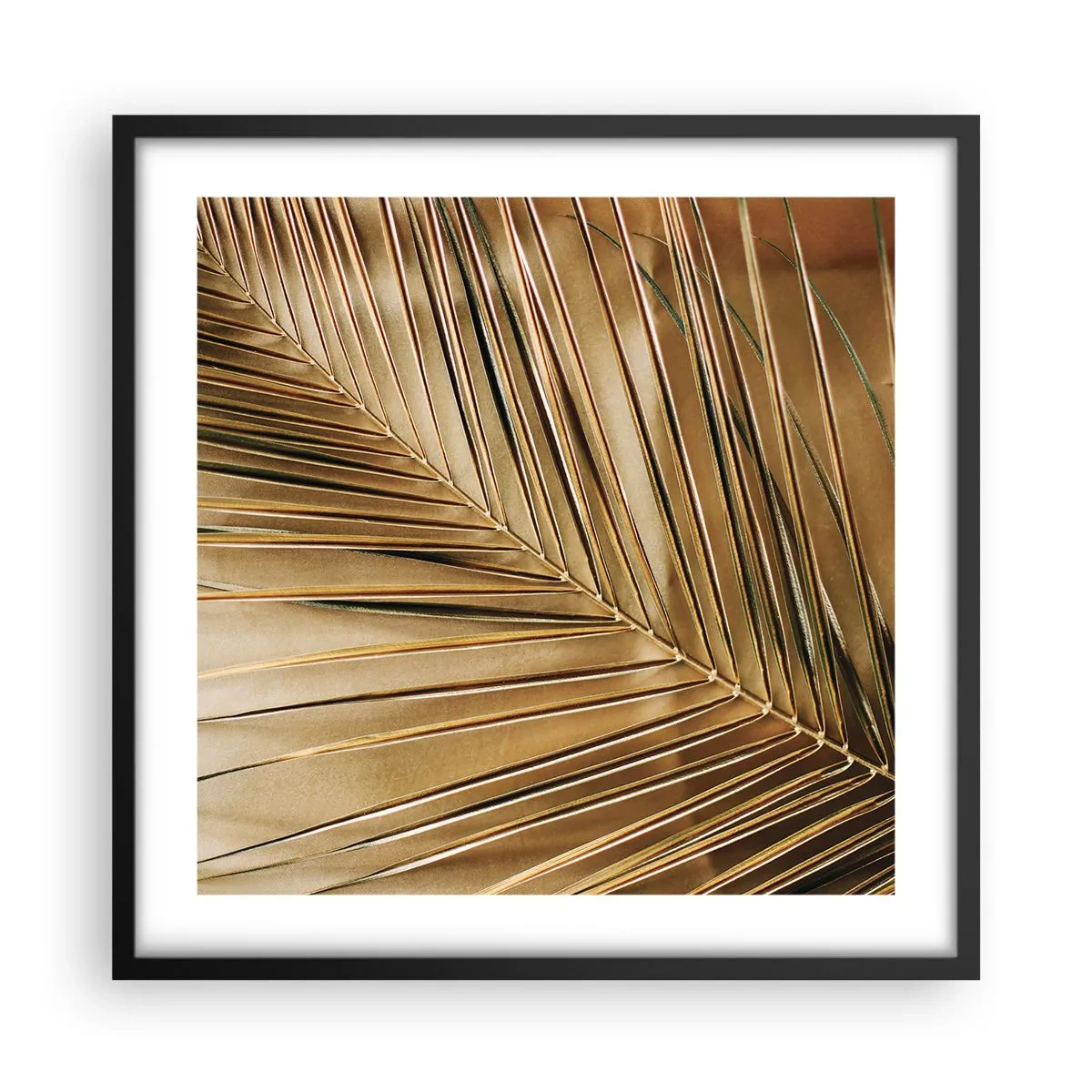 Póster en marco negro - Una columnata natural - 50x50 cm