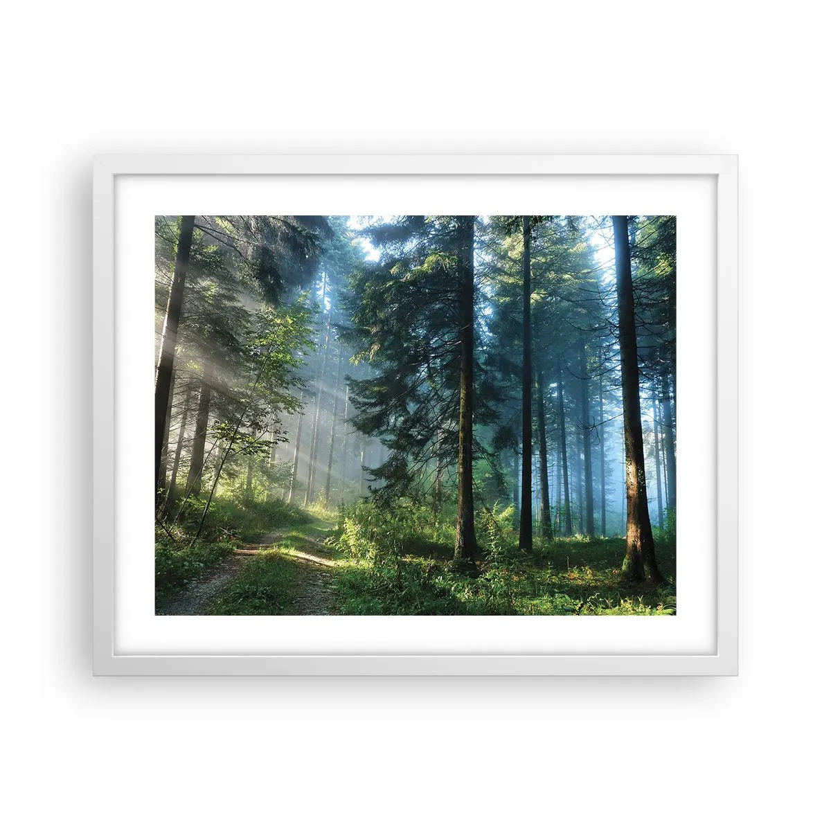 Póster en marco blanco - Radiante por la mañana - 50x40 cm