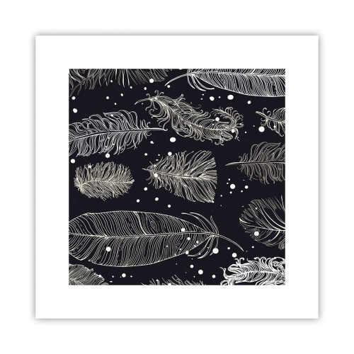 Póster - Encaje de plumas - 30x30 cm