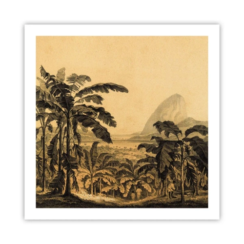 Póster - En un ambiente colonial - 60x60 cm