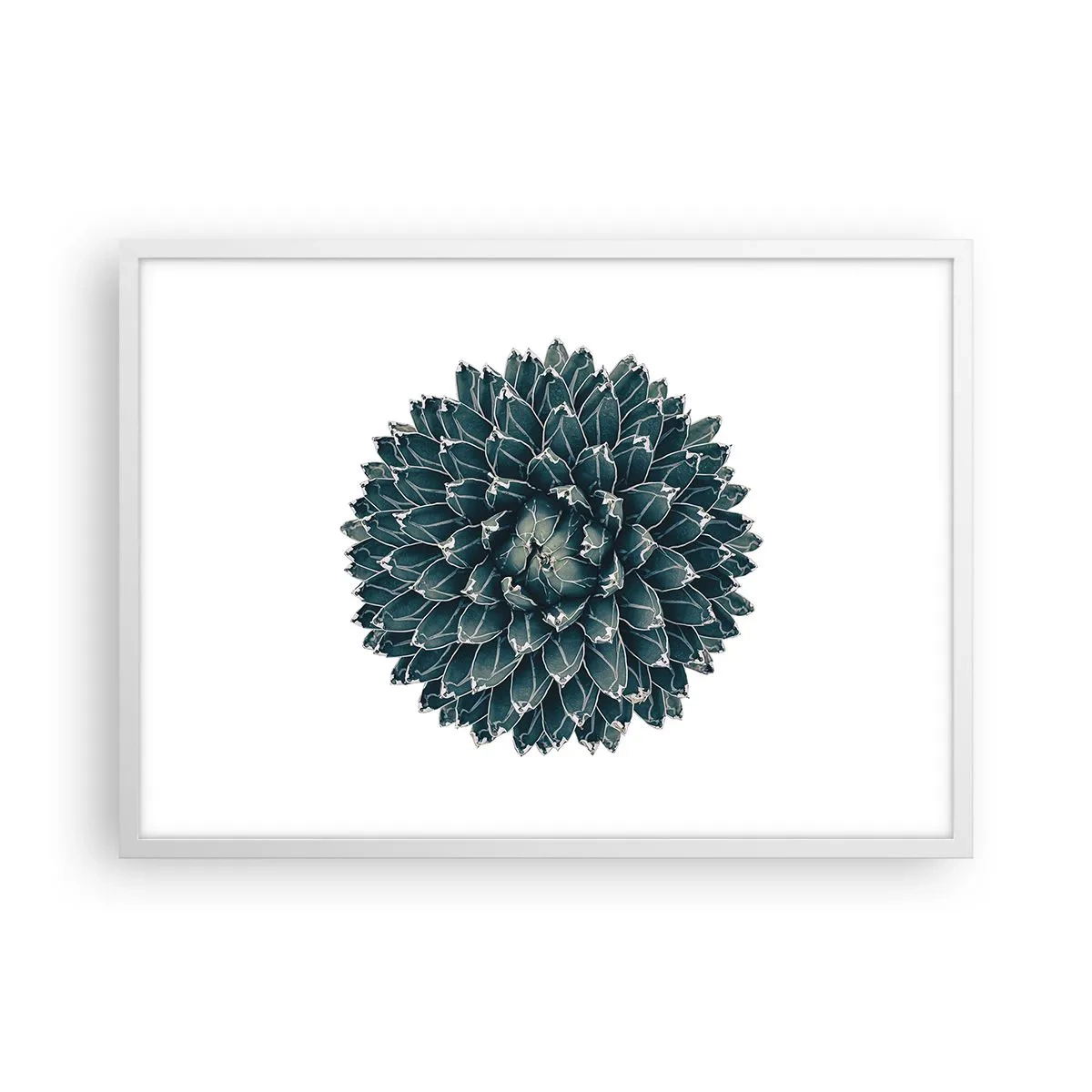 Póster en marco blanco - Estrella del desierto - 70x50 cm