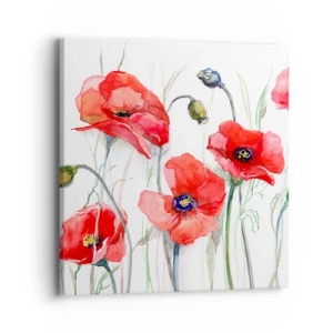 Cuadro sobre lienzo - Impresión de Imagen - Flores polacas - 40x40 cm
