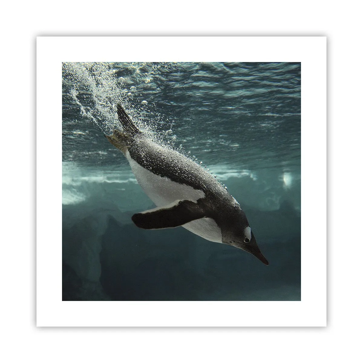 Póster - Bienvenido a mi mundo - 40x40 cm