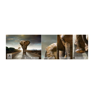 Muestra de fotomural autoadhesivo Deluxe Sticker - Y para nada en un almacén de porcelana - Elefante, Paisaje, Naturaleza - 100x30 cm