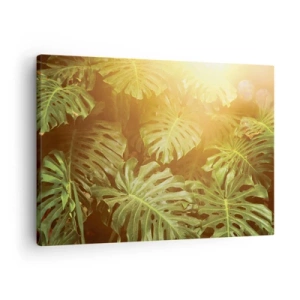 Cuadro sobre lienzo - Impresión de Imagen - Hojas de monstera a la luz del sol sobre un fondo natural. - 70x50cm - Hacia el verdor... - Decoración de pared moderna para salón y dormitorio ARTTOR