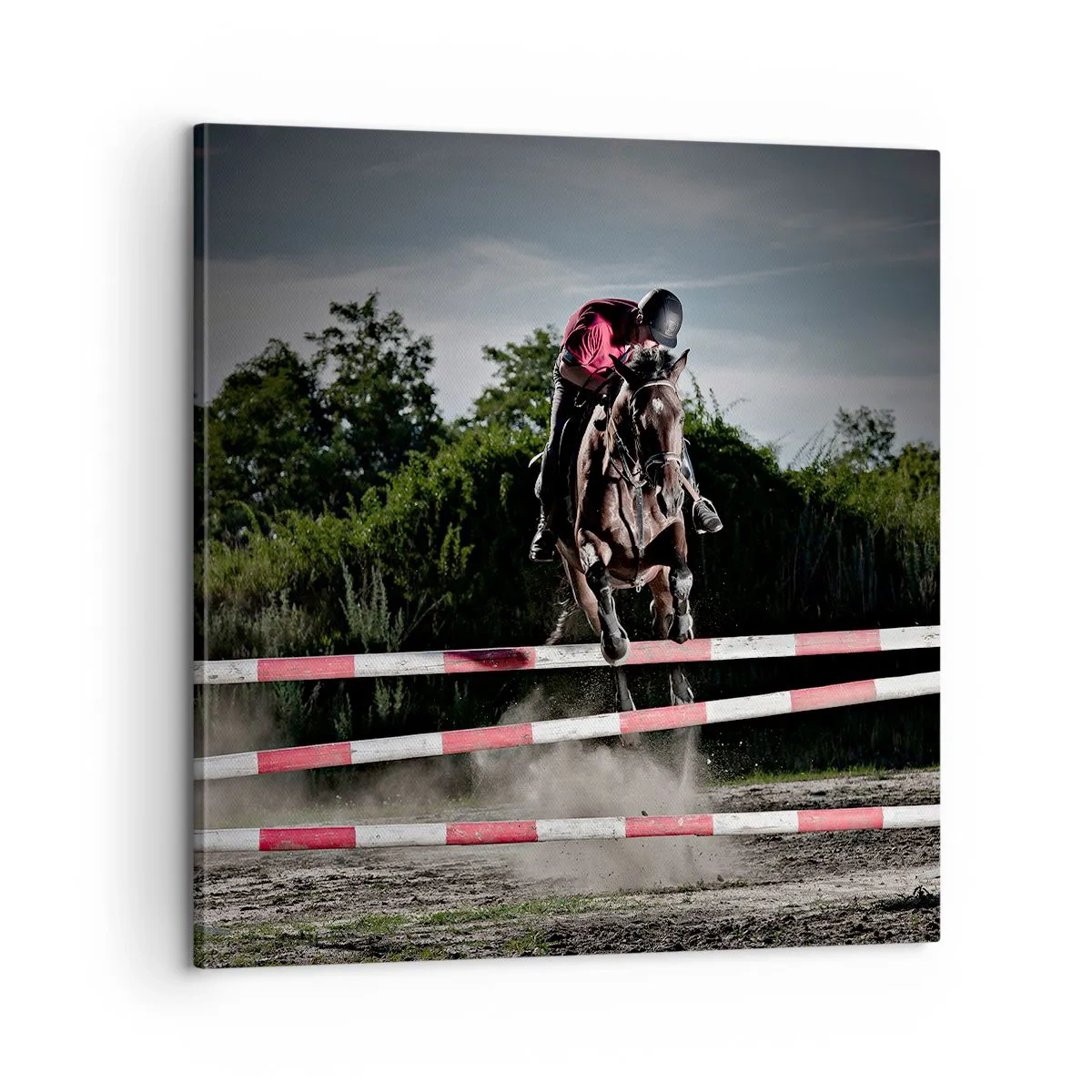 Cuadro sobre lienzo - Impresión de Imagen - Juntos por la victoria - 60x60 cm