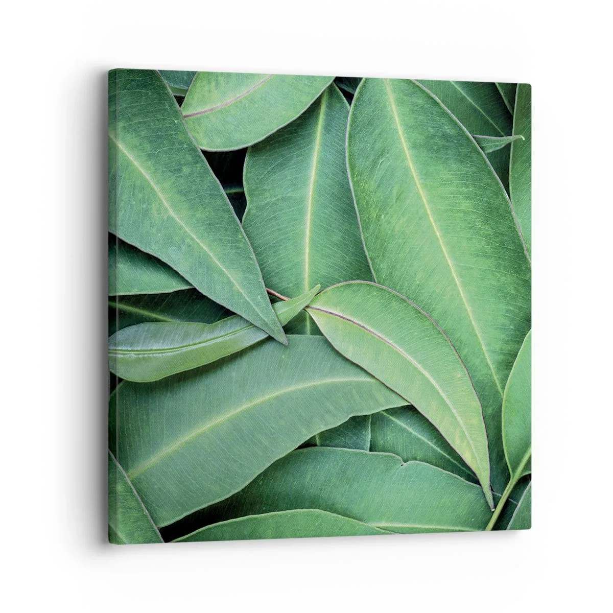 Cuadro sobre lienzo - Impresión de Imagen - Jugosidad y frescura - 30x30 cm