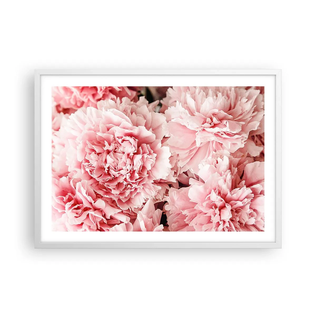 Póster en marco blanco - Sueño rosa - 70x50 cm