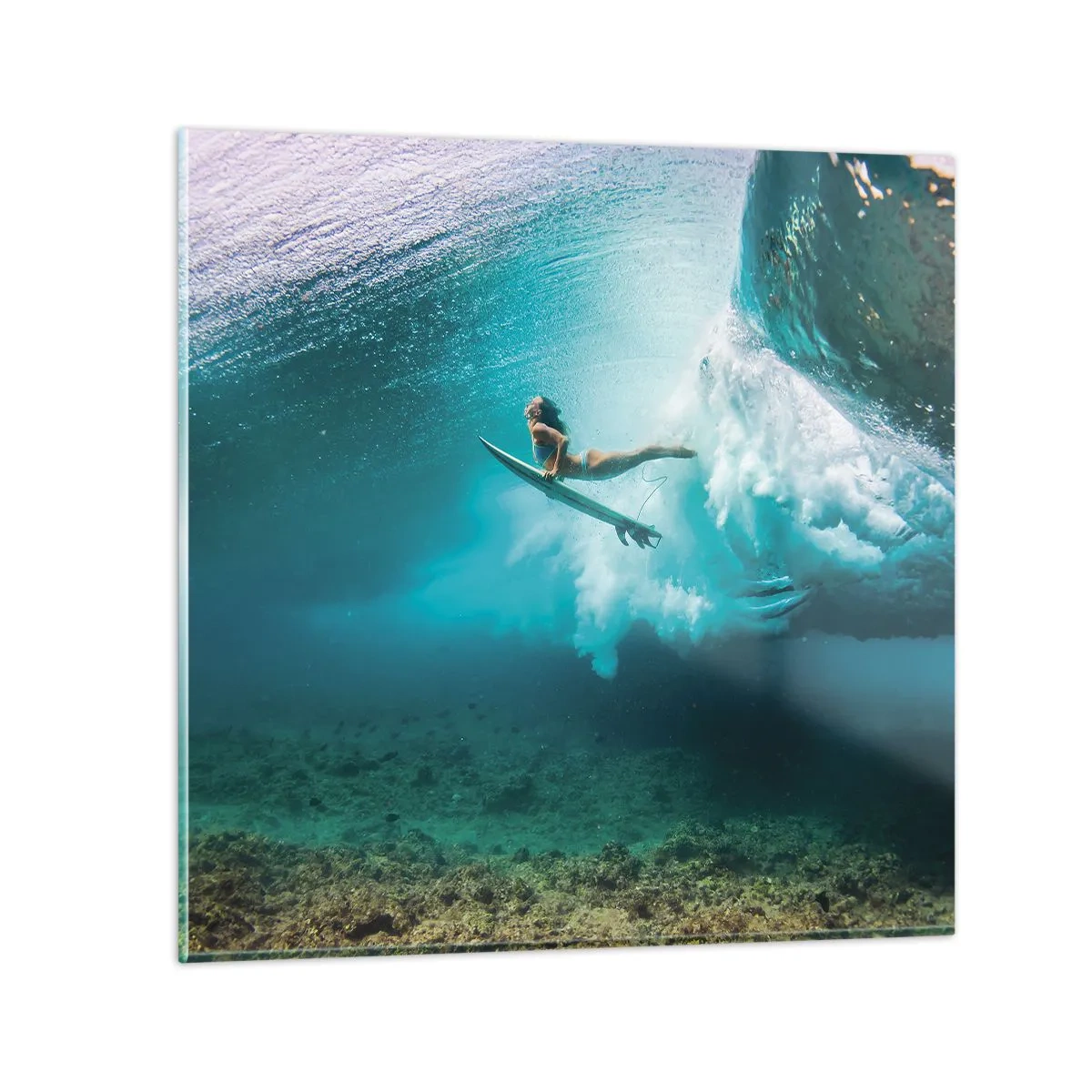 Cuadro sobre vidrio - Impresiones sobre Vidrio - Mundo submarino - 30x30 cm