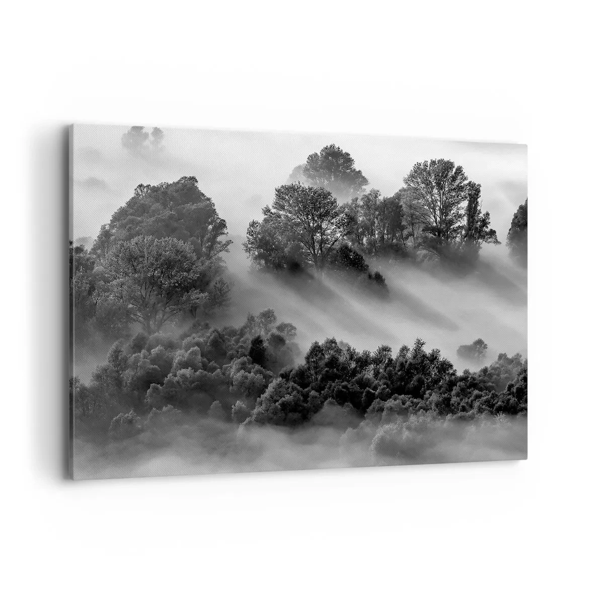 Cuadro sobre lienzo - Impresión de Imagen - Paisaje forestal en blanco y negro en la niebla matutina - 100x70cm - Levantarse del sueño - Decoración de pared moderna para salón y dormitorio ARTTOR