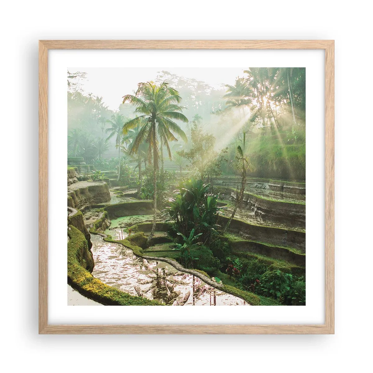 Póster en marco roble claro - Crecer bajo el sol - 50x50 cm