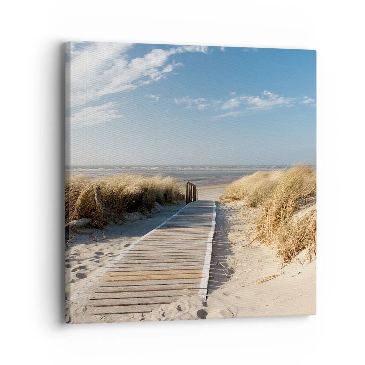 Cuadro sobre lienzo - Impresión de Imagen - Más allá de la duna, en el susurro de la naturaleza - 40x40 cm