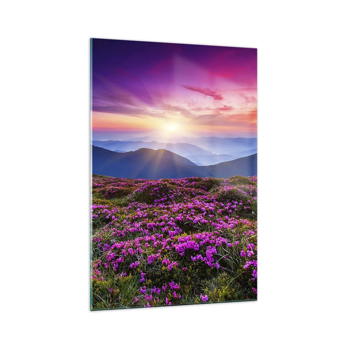 Cuadro sobre vidrio - Impresiones sobre Vidrio - Prado de montaña con flores al atardecer - 70x100cm - Dulce aroma a frescura - Decoración de pared moderna para salón y dormitorio ARTTOR