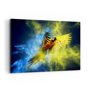 Cuadro sobre lienzo - Impresión de Imagen - Un loro en vuelo sobre un fondo de explosiones de colores amarillo y azul. - 120x80cm - En polvo azul y dorado - Decoración de pared moderna para salón y dormitorio ARTTOR