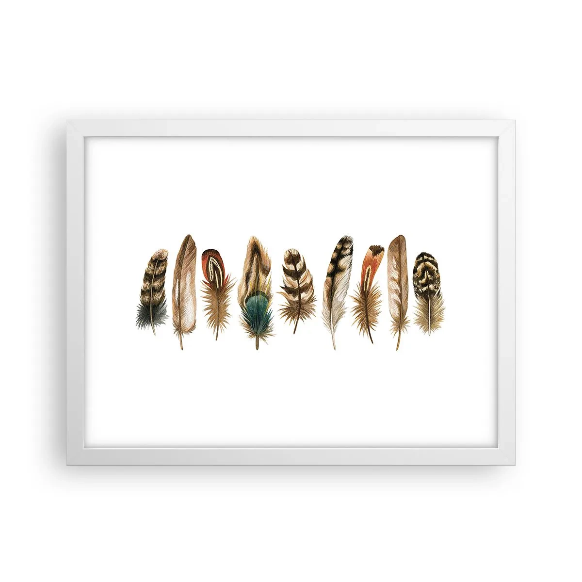 Póster en marco blanco - Estudio de plumas - 40x30 cm