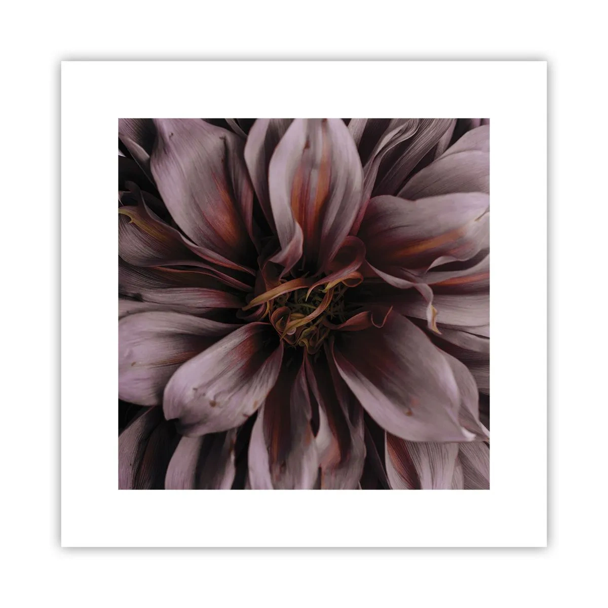 Póster - Corazón floral - 30x30 cm
