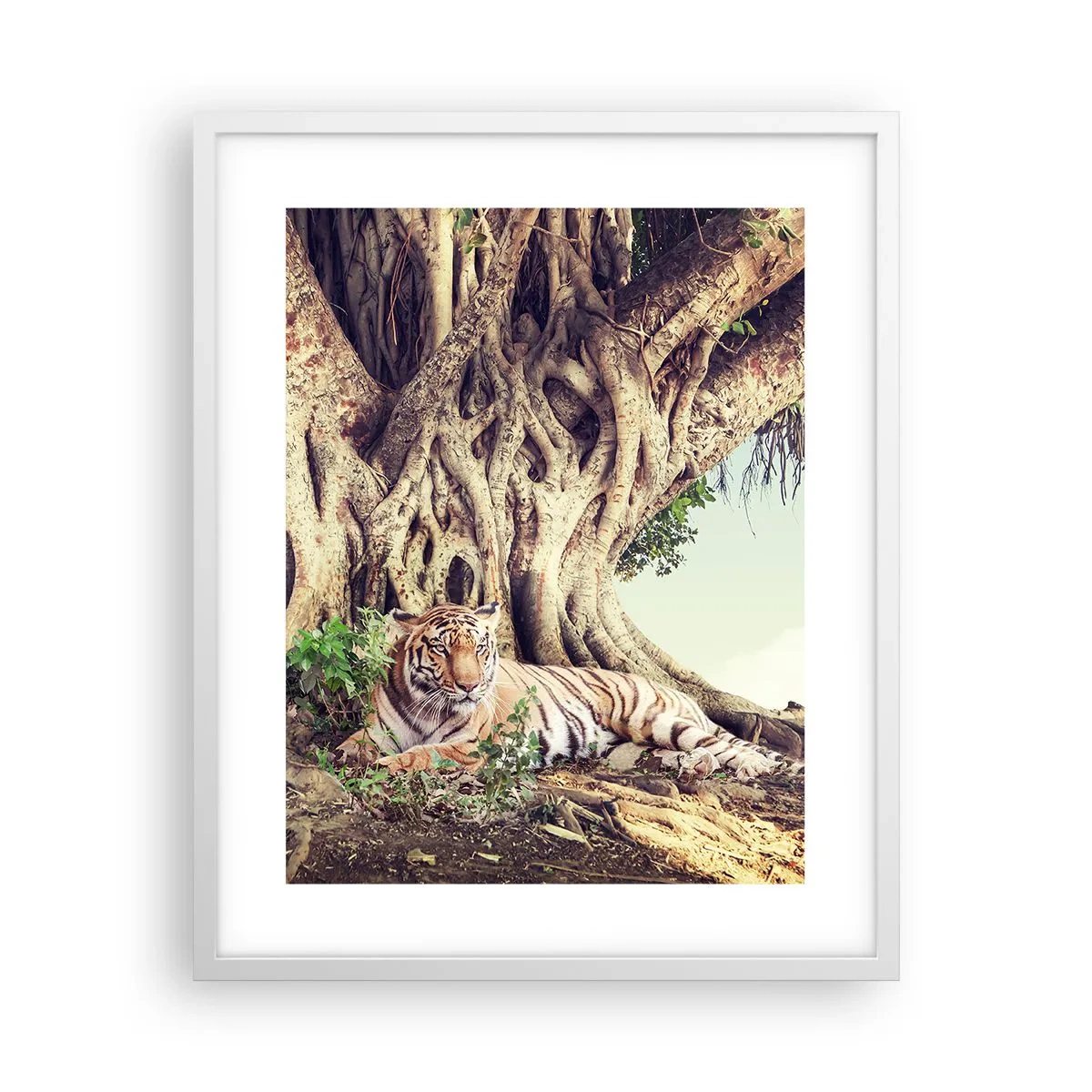 Póster en marco blanco - Una visión desde el Génesis - 40x50 cm