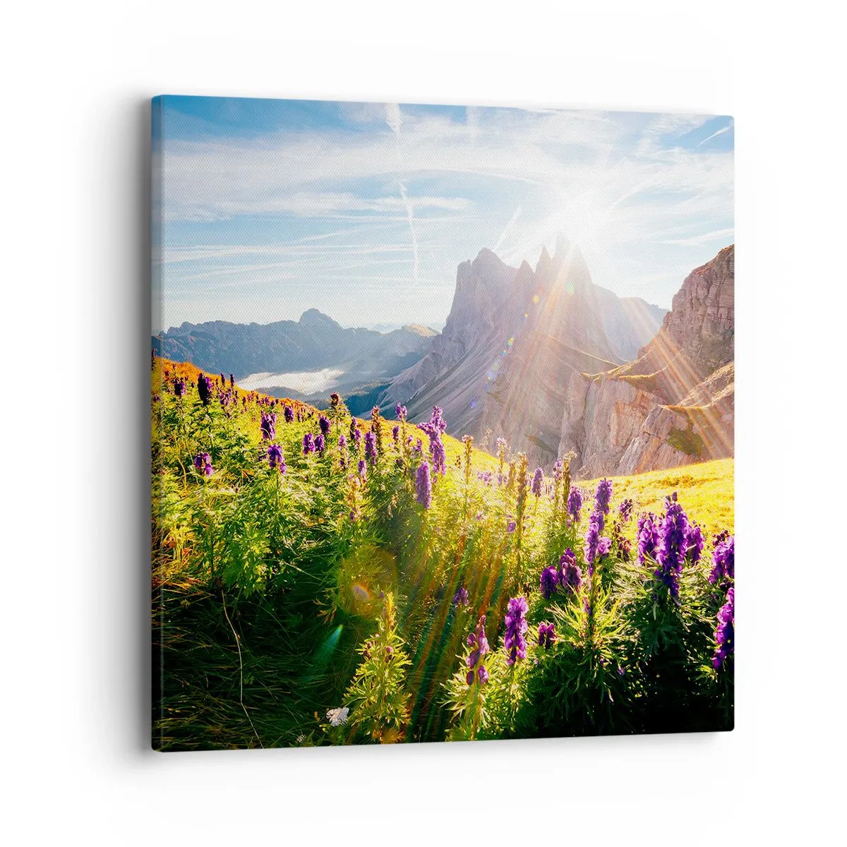 Cuadro sobre lienzo - Impresión de Imagen - La vida secreta de las hierbas - 40x40 cm