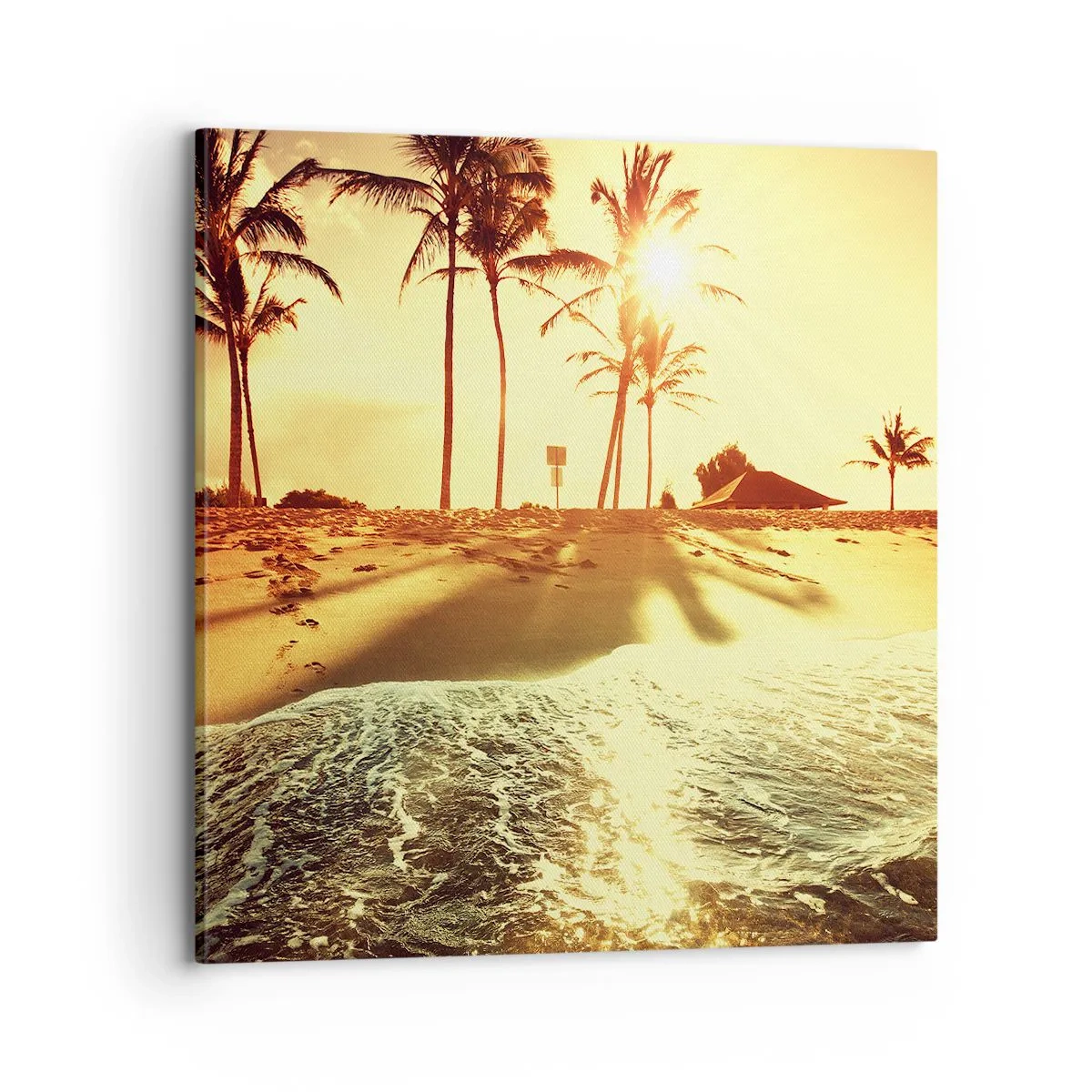 Cuadro sobre lienzo - Impresión de Imagen - Una tarde californiana - 70x70 cm